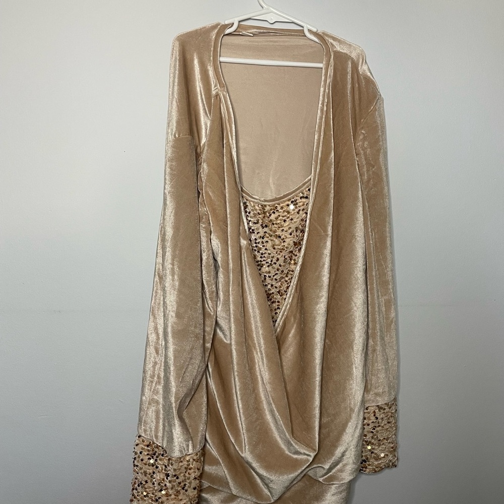 NWOT a light gold/champagne, sequins w velvet. Purchased, never worn. Beautiful!